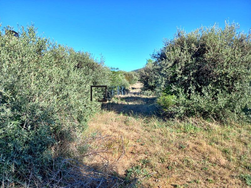 Foto aa103859-3ed6-4eaa-8109-a8dfc01eb3b5. Residential plot in Navahermosa