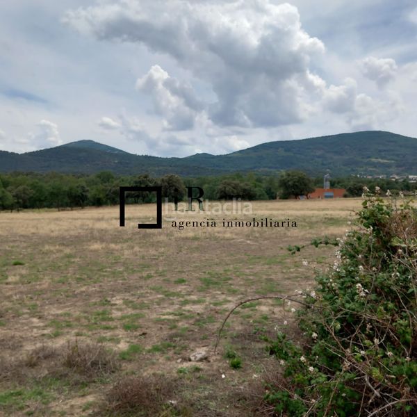 Foto ffbd439c-0fb1-4c19-9a33-381e191bdfd4. Fondo rustico in San Pablo de los Montes