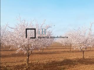 Finca rústica a Madridejos