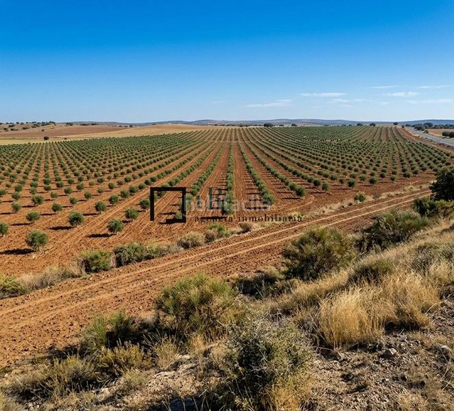 Foto 72a5dbb0-d7c2-4f0f-a306-324d18a9967a. Finca rústica en Argés