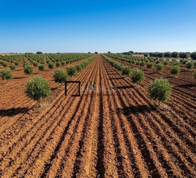 Foto c0bf2ab8-f330-47fc-940a-1de3dfcdd7e7. Finca rústica en Argés