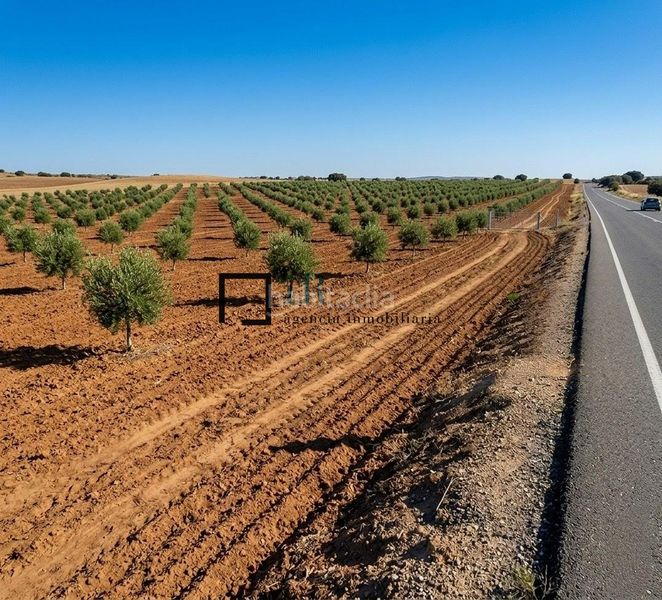 Foto e062f047-800e-450d-98ad-b943f52c6d31. Finca rústica en Argés