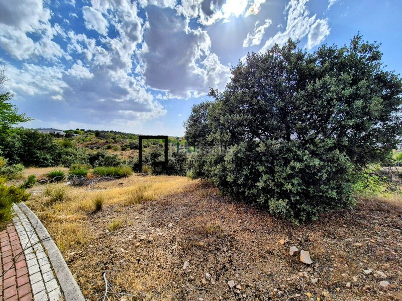 Foto 34a5054b-c2ff-4237-b6f5-c12a3bb0f8de. Terreny residencial a Los Cigarrales-La Bastida Toledo