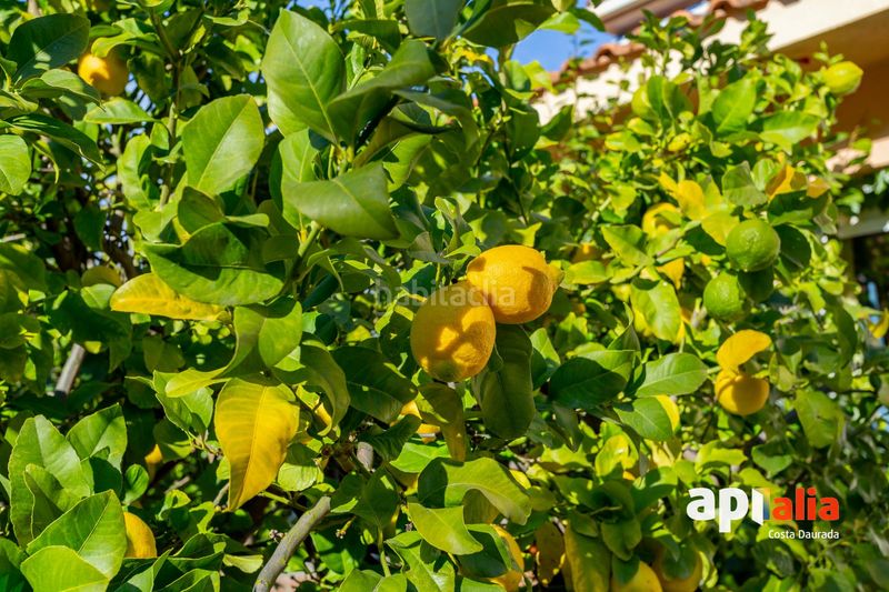 Foto bdbd09ae-f2de-4d38-87ad-d7e705a11728. Casa con riscaldamento parcheggio in Centre Salou