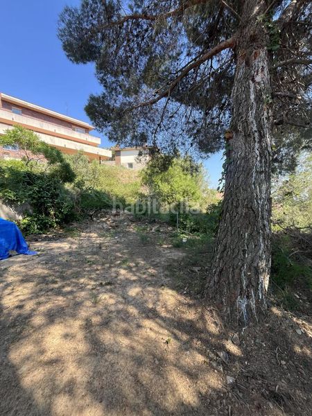 Foto 0639c1e0-e68f-44ea-90da-b5bd1990e226. Terreny residencial a Almoster