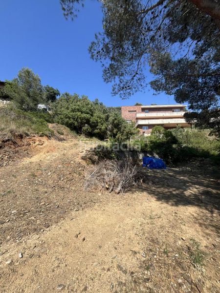 Foto 6ba54e79-e178-4d23-be12-f20fe60a9355. Terreny residencial a Almoster