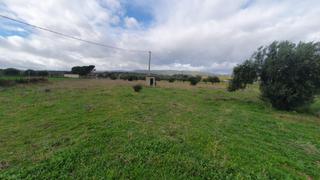 Masia en Aldea del Fresno. Finca rstica en aldea del fresno