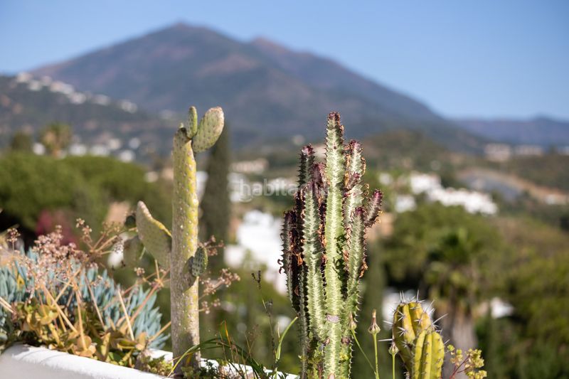 Foto c84a0eff-9865-4826-979c-88ad3bceac58. Casa amb aparcament piscina a Las Brisas Marbella