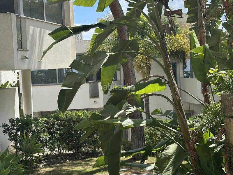 Foto 0c0644fe-4116-462e-9d64-7826e230a4f6. Rent semi detached house in verdi-ur Sierra Blanca 38 in Marbella