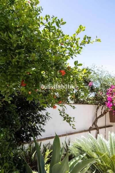 Foto e98c6edf-f4ad-400f-a70d-fa4570527c8f. Casa adossada amb aparcament a San Pedro de Alcántara Pueblo Marbella