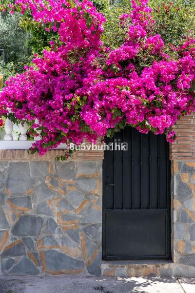 Foto e9ed6d11-a891-4b35-bfa7-c64732c2473c. Casa adossada amb aparcament a San Pedro de Alcántara Pueblo Marbella