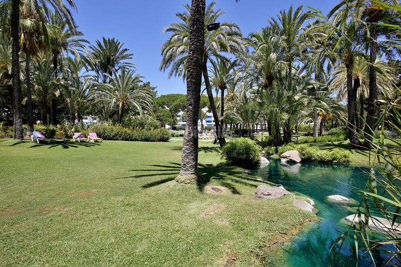 Foto 3b0b94ed-d7b3-4f39-acc7-054cd2e13813. Lloguer planta baixa amb aparcament piscina a Puerto Banús Marbella