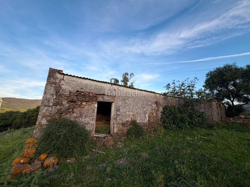 Foto 7e83a414-43a5-4d13-a46e-fbfbdc8b2463. Masia a Facinas Tarifa