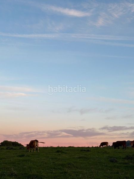 Foto b2c93417-bff7-4bdd-b138-ed8f7af6f8ca. Masia a Facinas Tarifa