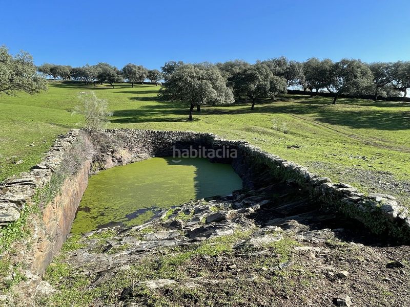 Foto 01514e2e-c50e-4021-9853-979ebf799034. Finca rústica a Malpartida de Plasencia