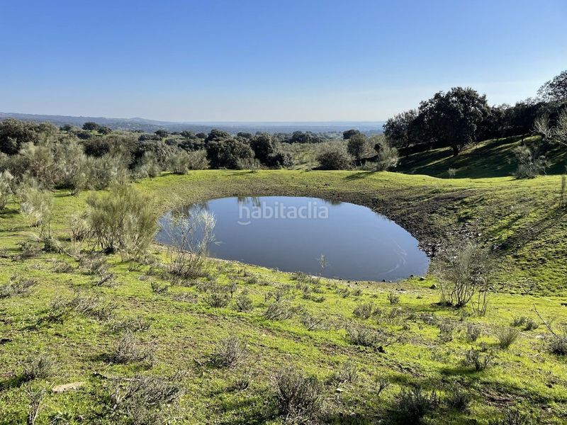 Foto 0a8a92f2-0750-45ff-93f0-bc09a5472d5f. Finca rústica a Malpartida de Plasencia