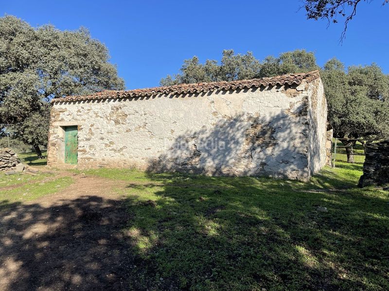 Foto 57a8c155-187e-4c3e-8178-83829c556507. Finca rústica a Malpartida de Plasencia