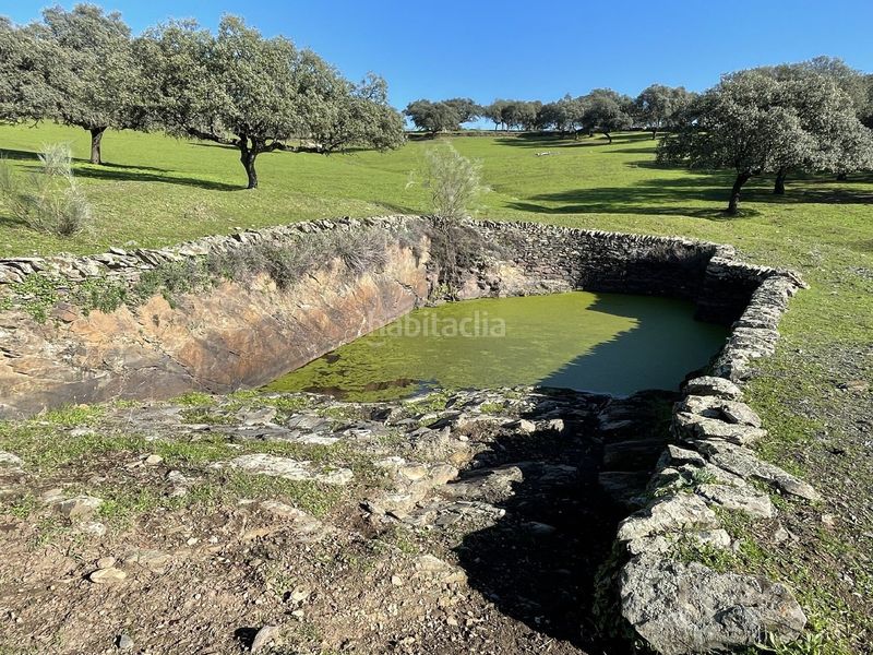 Foto 59114885-0561-42c4-87be-f8e031f18449. Finca rústica a Malpartida de Plasencia