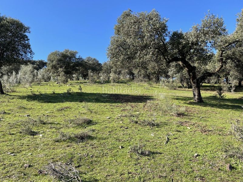 Foto c75932cc-5c49-45b9-b348-d9910876e7e0. Finca rústica a Malpartida de Plasencia
