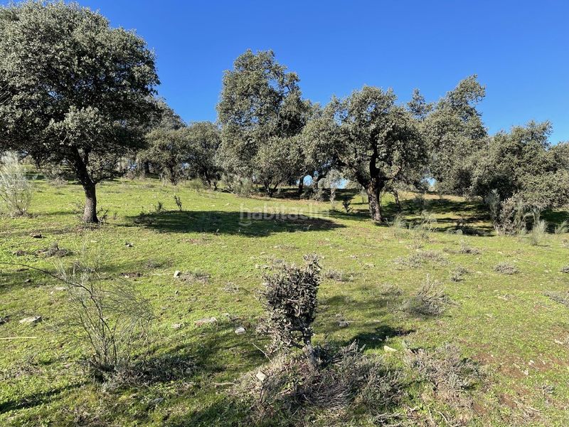 Foto d41a8f43-86c4-498c-ab25-395cd7213396. Finca rústica a Malpartida de Plasencia