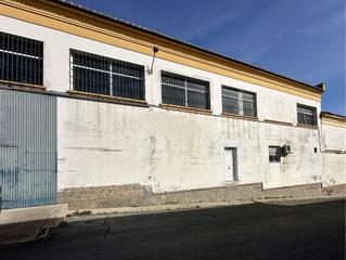 Miete Fabrikhalle in Zona Sur - Av. De España - San Miguel