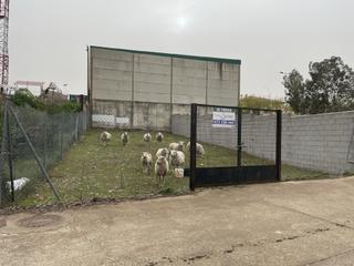 Residential Plot in Malpartida de Plasencia