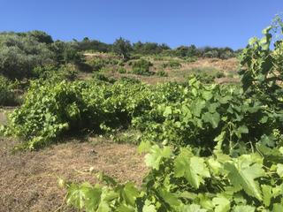 Propriété à Malpartida de Plasencia