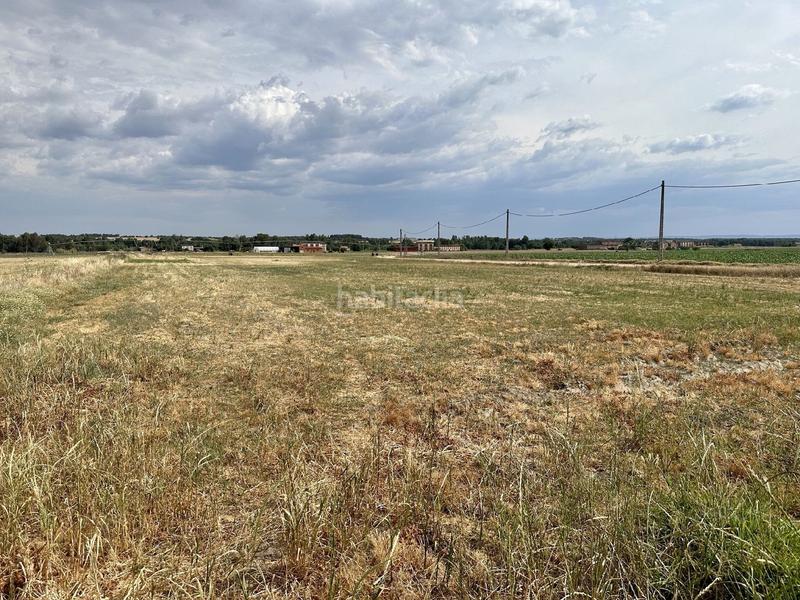 Foto 1918bbc2-6f91-4ceb-947a-9c3c3e16cd2b. Finca rústica a Tejeda de Tiétar