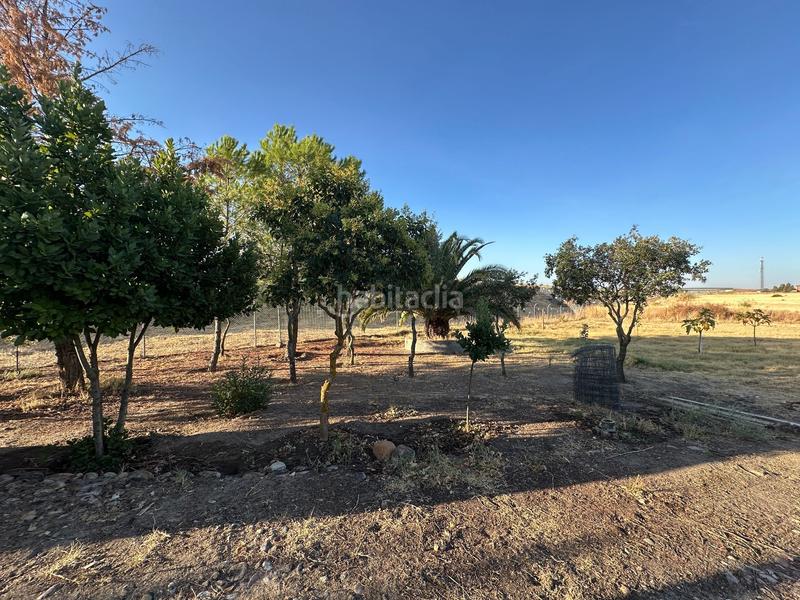 Foto 144c0b40-47c3-4fe8-ae75-8a8fdc48a120. Rural plot in Casatejada