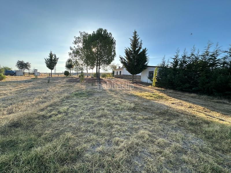 Foto 93572976-b436-4cbb-92e8-effbdcf1cd44. Rural plot in Casatejada