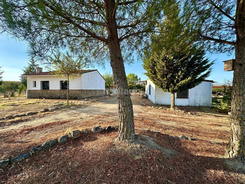 Foto 2743510e-ab42-40d7-a1bd-b9bf26f7fbaf. Finca rústica a Casatejada