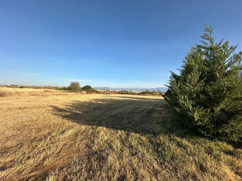 Foto af25bfdd-3907-417a-b88d-6762c3337e72. Finca rústica a Casatejada