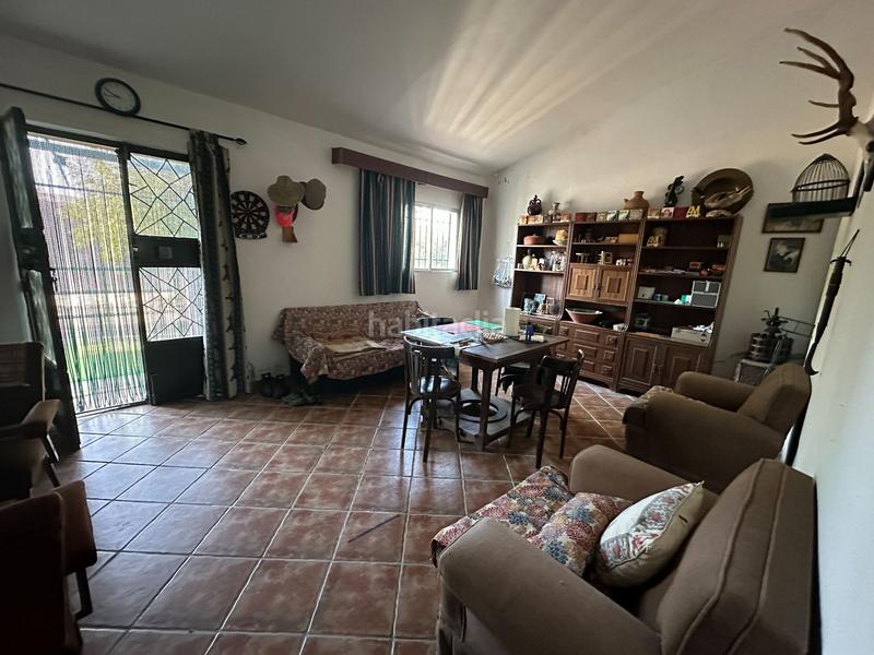 Foto ba9a118f-5dcd-4803-b2a5-72878aa0e552. Finca rústica a Casatejada