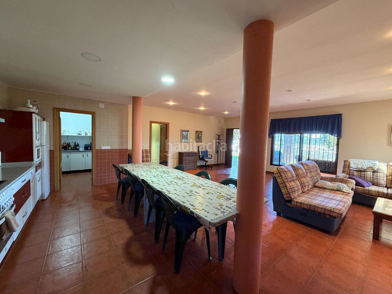 Foto 4b01ffaa-7dd2-49a5-a018-904a577aef99. Finca rústica a Zona Sur - Av. De España - San Miguel Plasencia