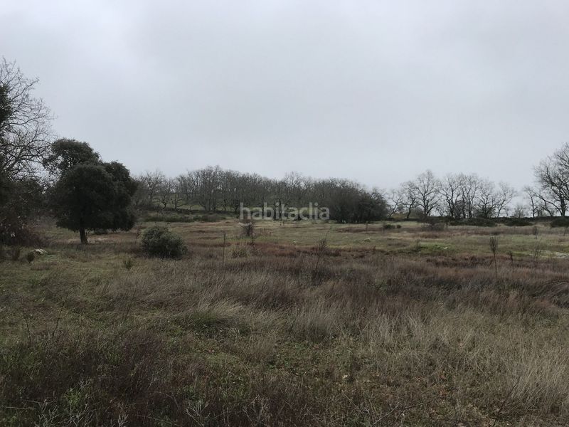 Foto a89ba05c-4129-4108-81f1-6d8764aae616. Finca rústica en Malpartida de Plasencia