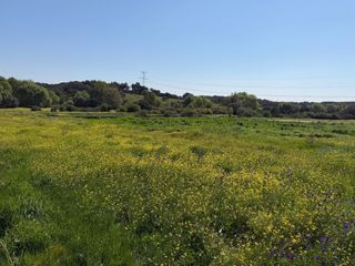 Rural plot in Malpartida de Plasencia