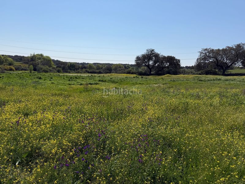 Foto 59a3f7e4-3f98-48a2-b299-799a7776dbb6. Finca rústica a Malpartida de Plasencia