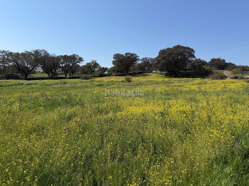 Foto f4a6eda0-c4d0-4a09-a76b-9374f83116c3. Finca rústica a Malpartida de Plasencia