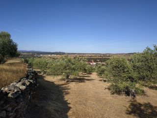 Finca rústica a Malpartida de Plasencia