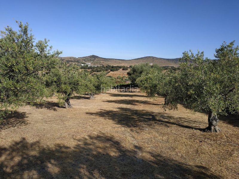 Foto a6481351-cf3a-4c1f-8f11-839e432f21be. Finca rústica a Malpartida de Plasencia