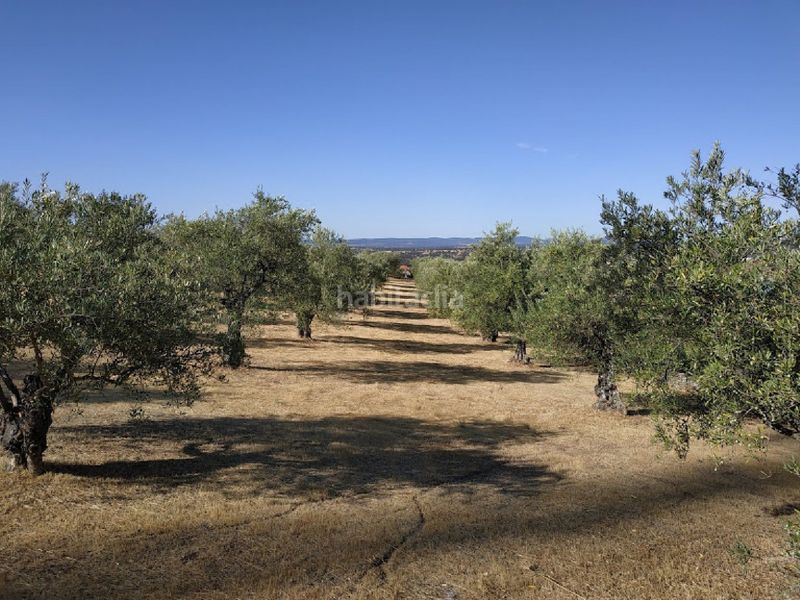 Foto eb3426d5-1551-43c9-a394-6df52c48de09. Finca rústica a Malpartida de Plasencia