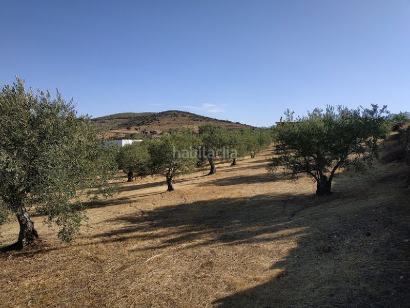 Foto 38c711f8-f89a-4b1e-bb2a-98901d1aa264. Finca rústica en Malpartida de Plasencia