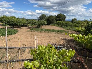 Rural plot in Tejeda de Tiétar