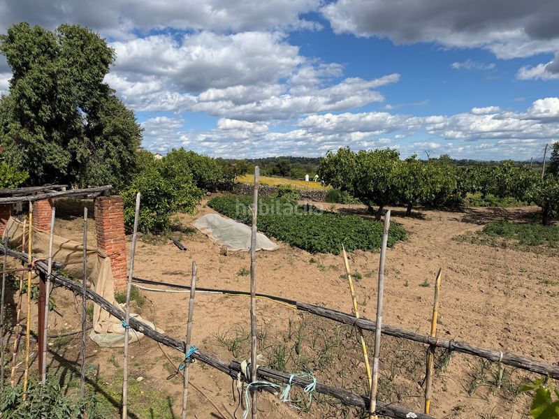 Foto 3e0a61a3-28d3-4b88-b7d0-6d4c52ecbe77. Finca rústica a Tejeda de Tiétar