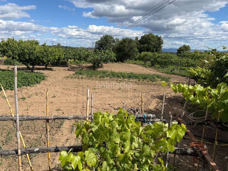 Foto 7f38a0fc-8e18-4f9d-8cdc-9f645d11afd7. Finca rústica a Tejeda de Tiétar