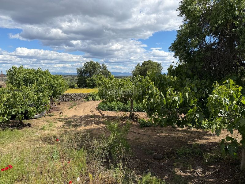 Foto 9214f83d-d00c-4e9c-a39e-8688a3c9ad74. Finca rústica a Tejeda de Tiétar