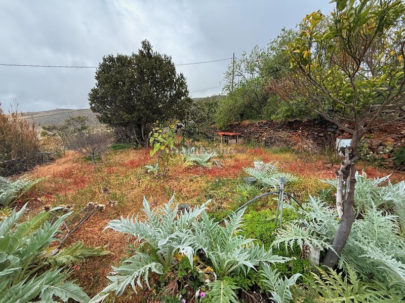 Foto 07ceaf00-6569-4a38-9c9f-9454526c31de. Masia amb aparcament a Vilaflor