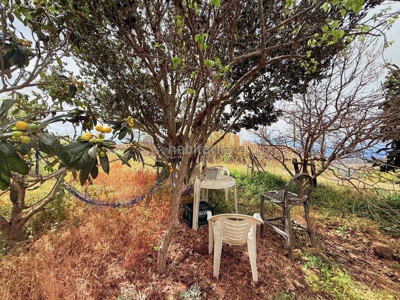 Foto 67f3e862-883b-484e-a7eb-e43e5dbab2d1. Masia amb aparcament a Vilaflor