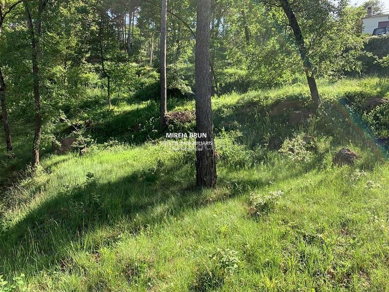 Foto c129a30f-8429-4d56-9b21-9af1421aa707. Wohngrundstück in Muntanyola