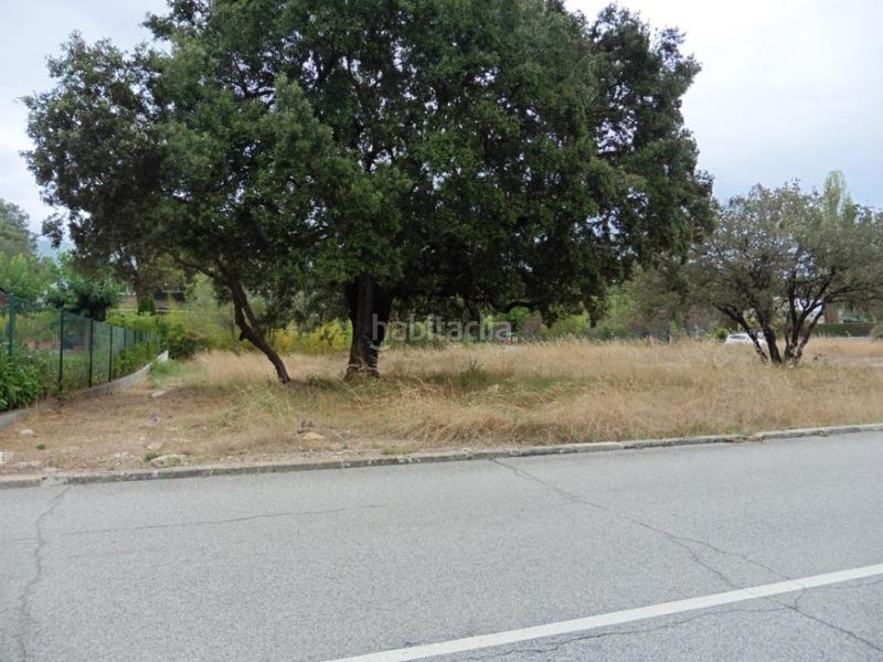 Foto d98a87b5-4625-4d17-9569-9c9c9c33b8fe. Residential plot in Seva
